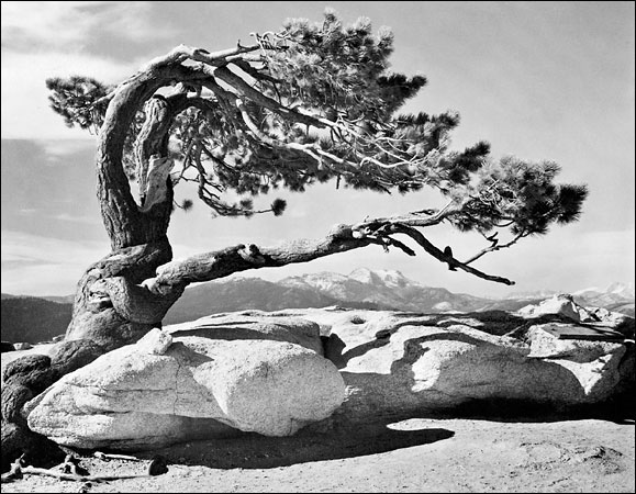 ansel adams3