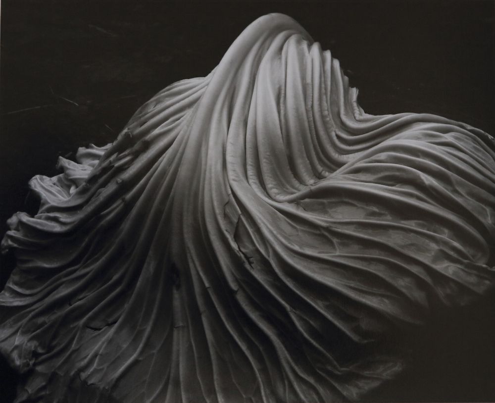 edward weston2