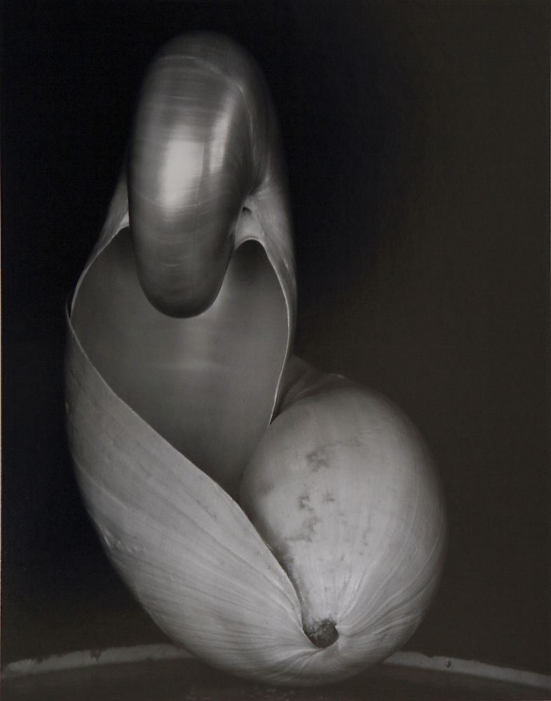 edward weston3