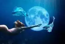 en iyi 5 fotograf duzenleme programi