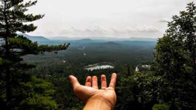 fotograf sanati nedir