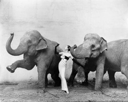 richard avedon3