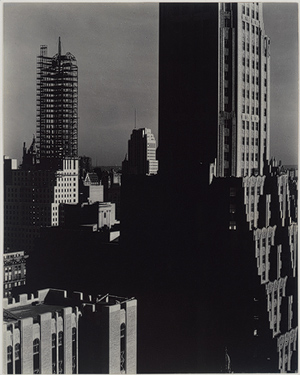 stieglitz