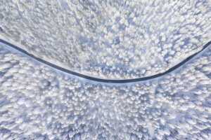 2326e48a5823be116a1c923ad3d.DRIVING20THROUGH20THE20ICE20FOREST 1