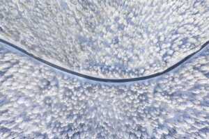 2326e48a5823be116a1c923ad3d.DRIVING20THROUGH20THE20ICE20FOREST