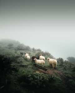 26fe4dba79498f00e80883a443202411. DSF4135 Edit 2 2