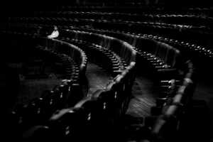 4794edc25a7c28415440e87c48446c93.DSC 4741