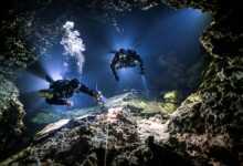 UPY / Yılın Sualtı Fotoğrafçısı 2021 7 801