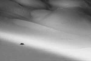 d74cab8b9f4b5ca80a80bd17c6caf8d8.Silently20in20the20mountains