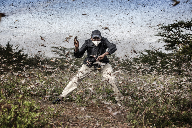 2021 Yılının The World Press Photo Finalistleri Açıklandı 6 2021 Yılının The World Press Photo Finalistleri