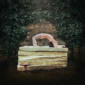A twisted tale 800x800 1