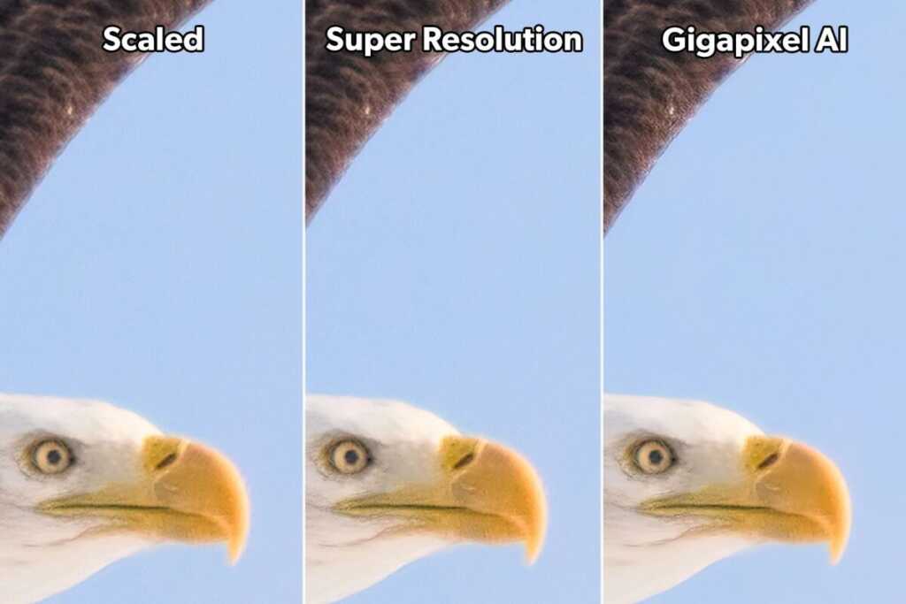 BAEA adobe super resolution vs topaz gigapixel ai comparison