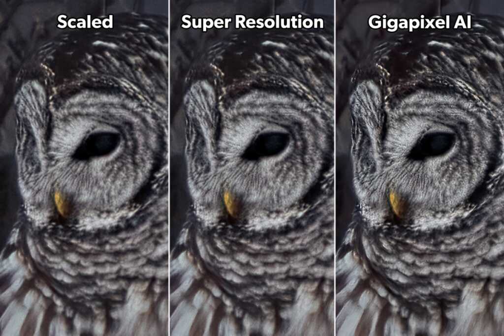 BDOW adobe super resolution vs topaz gigapixel ai comparison