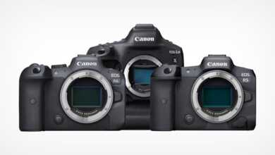 Canon, 1DX Mark III, R5, R6 için Video Odaklı Firmware Güncellemeleri Ekliyor 8 Canon Drops Video Focused Firmware Updates for 1DX Mark III R5 R6 800x420 1