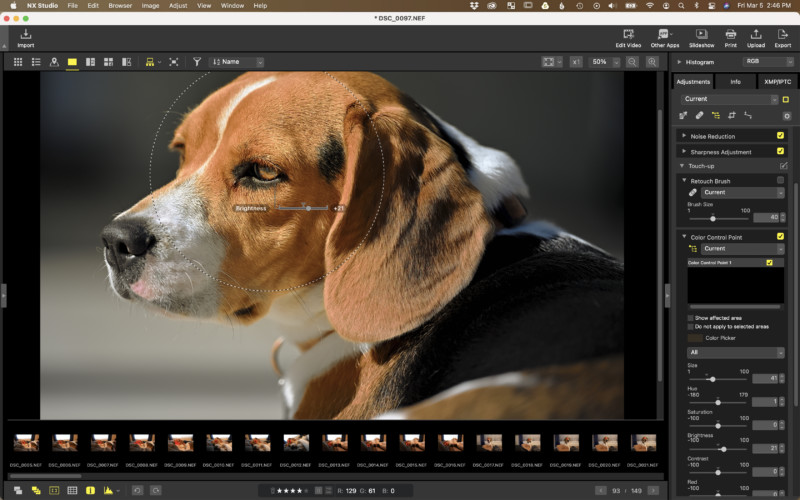 Nikon NX Studio İncelemesi: Daha İyi Olabilecek Güzel Bir Başlangıç 8 Color Control Point Brightness 800x500 1