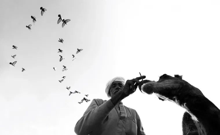 Kadınlar sokak fotoğrafçılığını nasıl geliştirdi? 2 Kadınlar sokak fotoğrafçılığını nasıl geliştirdi?