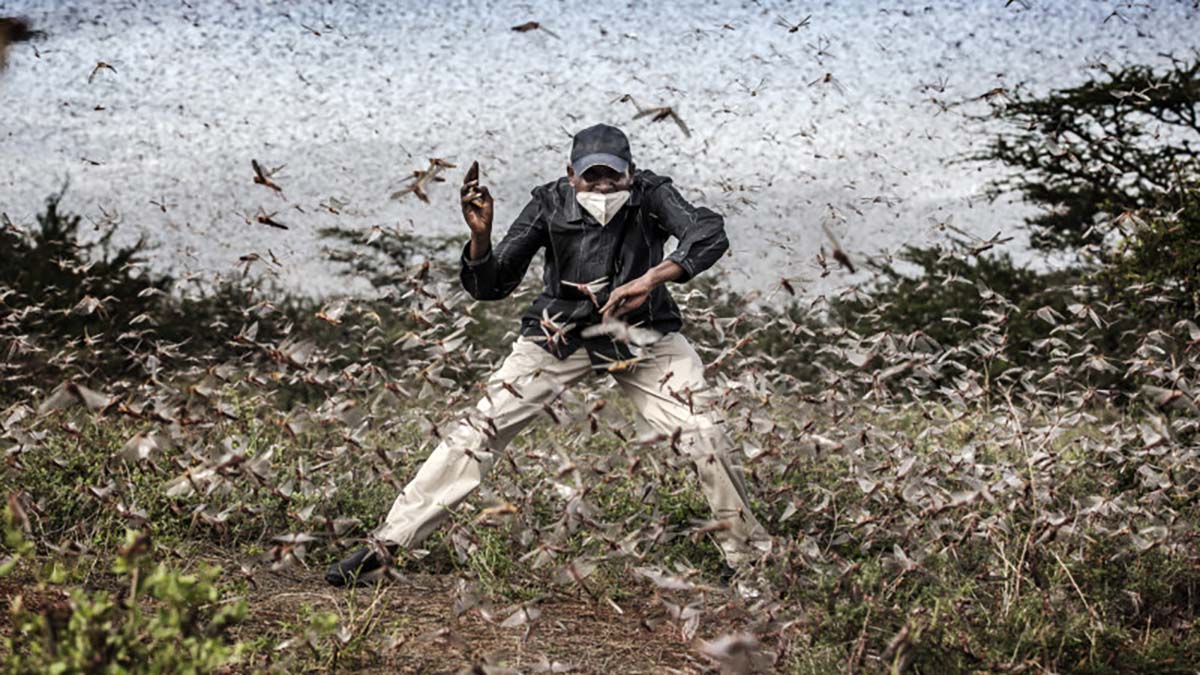 2021 Yılının The World Press Photo Finalistleri Açıklandı 1 Finalists of World Press Photo of the Year 2021 header