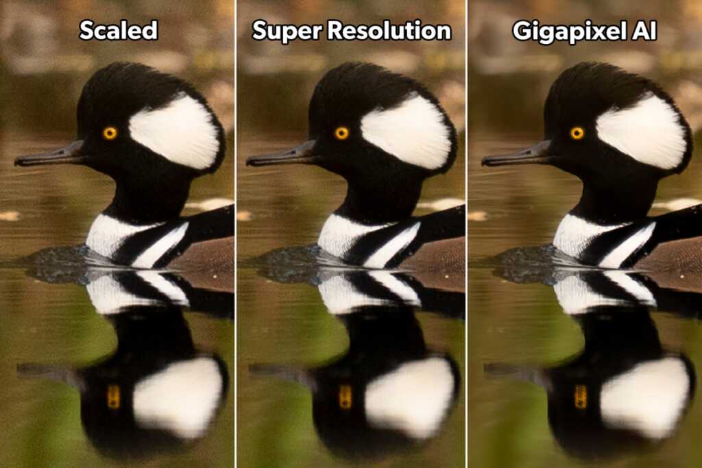 HOME adobe super resolution vs topaz gigapixel ai a7s comparison