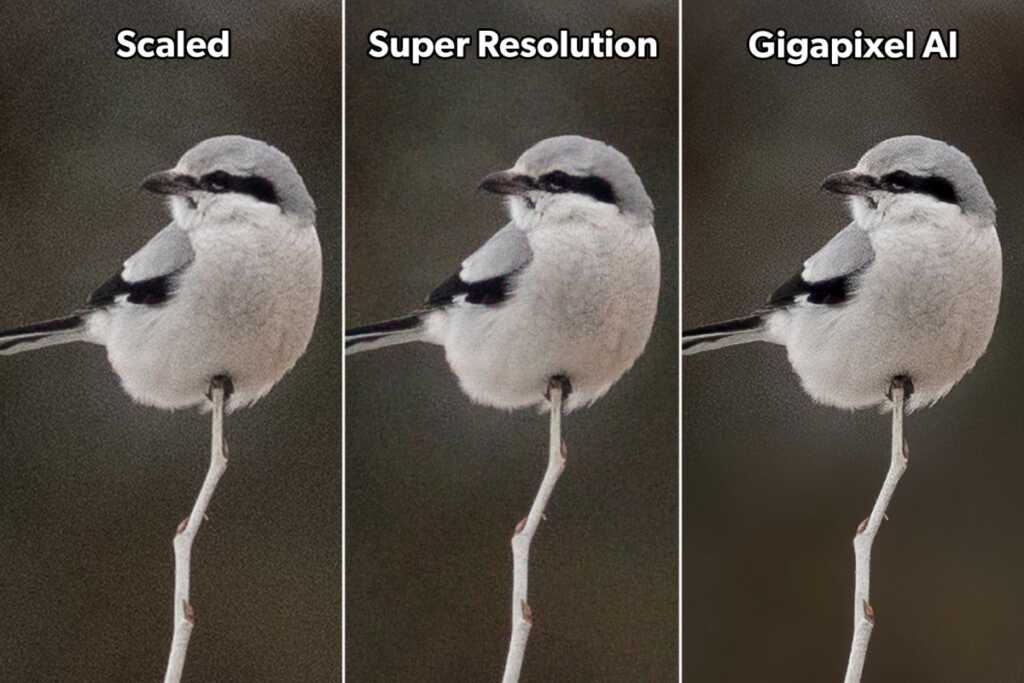 Photoshop Süper Çözünürlük vs Topaz Gigapixel AI 21 NSHR adobe super resolution vs topaz gigapixel ai comparison