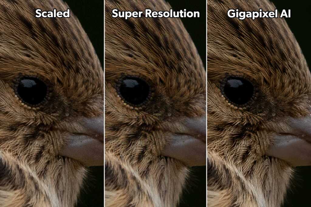 Photoshop Süper Çözünürlük vs Topaz Gigapixel AI 25 PISI adobe super resolution vs topaz gigapixel ai comparison