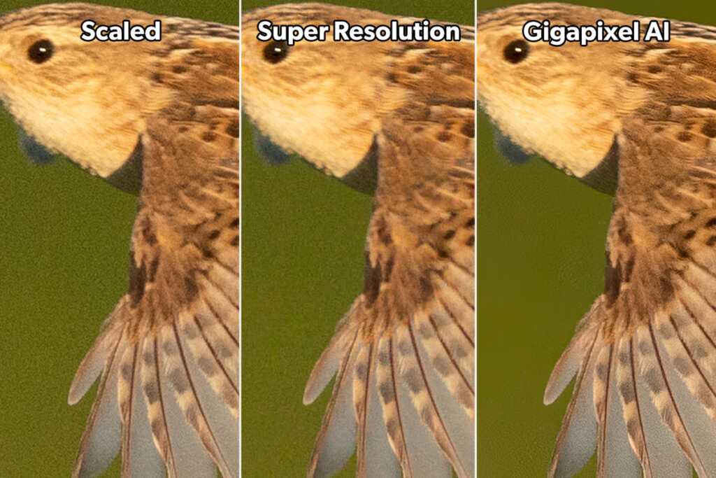 SEWR adobe super resolution vs topaz gigapixel ai comparison 2x