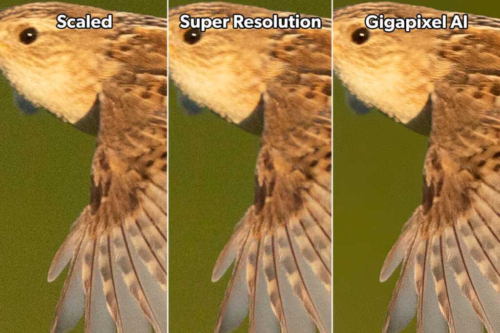 Photoshop Süper Çözünürlük vs Topaz Gigapixel AI 29 SEWR adobe super resolution vs topaz gigapixel ai comparison 2x