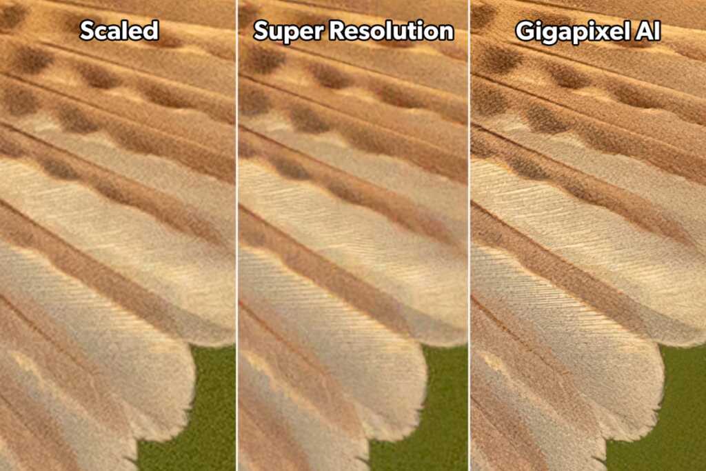 Photoshop Süper Çözünürlük vs Topaz Gigapixel AI 30 SEWR adobe super resolution vs topaz gigapixel ai comparison 4x