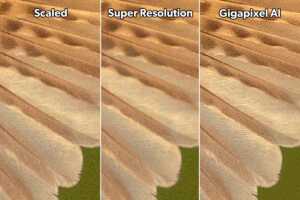 SEWR adobe super resolution vs topaz gigapixel ai comparison 4x