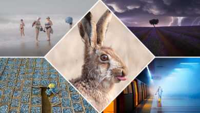 Sony World Photography Awards 2021 7 The Incredible Winners of the Sony World Photography Awards 2021 1200x676 1