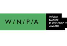 World Nature Photography Awards