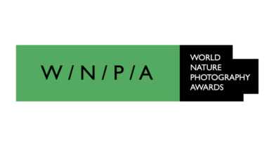 World Nature Photography Awards