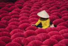 Ryosuke Kosuge : Patterns of Asia 15 rk 5 1200x675 1