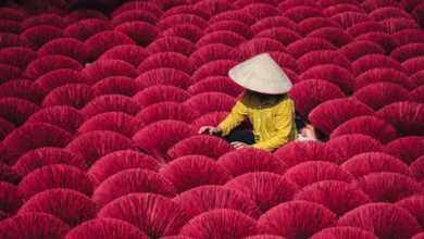 Ryosuke Kosuge : Patterns of Asia 9 rk 5 1200x675 1