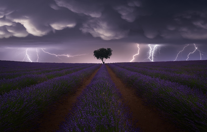 © Juan López Ruiz Spain Category Winner Open competition Landscape Sony World Photography Awards 2021 800x509 1