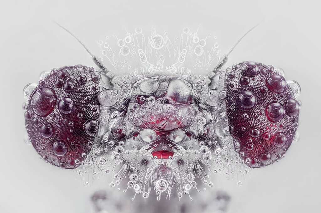 All About Photo Awards 2021 2 ART 969 10