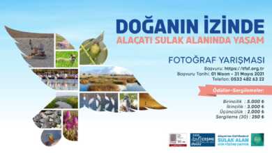 “Doğanın İzinde” Ulusal Fotoğraf Yarışması 2021 6 Doganin Izinde – Alacati Sulak Alaninda Yasam Fotograf Yarismasi header