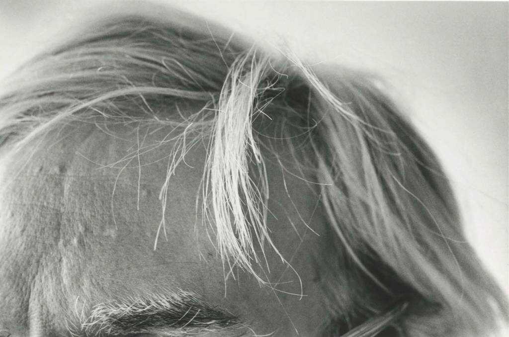 Duane Michals Unlocks his Andy Warhol Archive 0004
