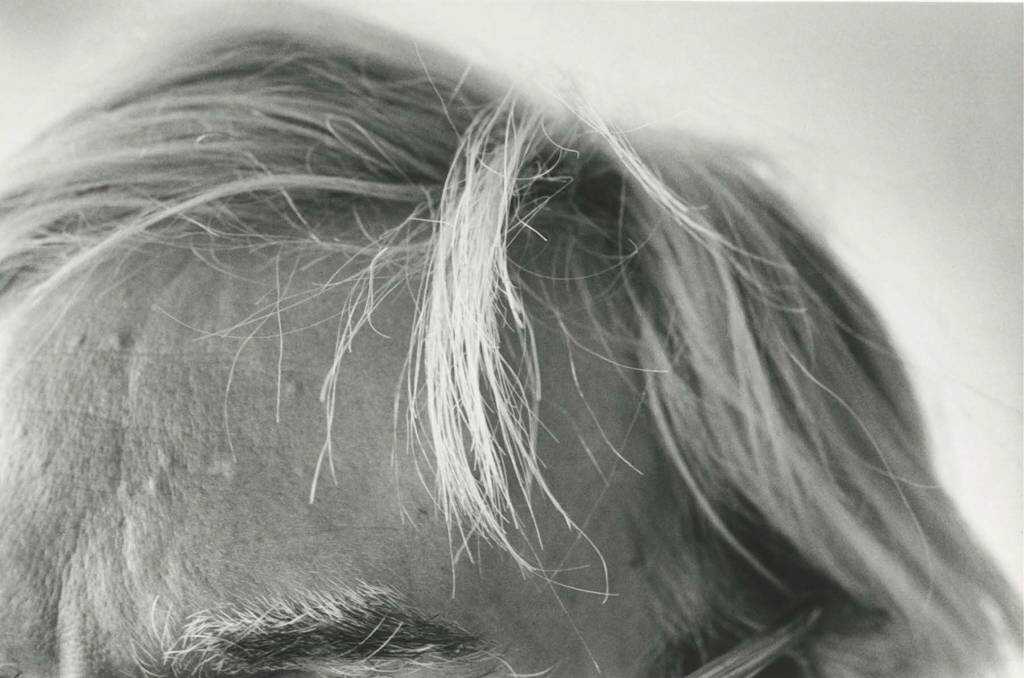 Duane Michals, Andy Warhol Arşivinin Kilidini Açıyor 5 Duane Michals Unlocks his Andy Warhol Archive 0004