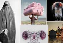 The Stunning Winning Images of All About Photo Awards 2021 header