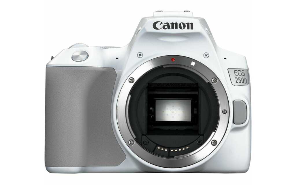 2022'deki En İyi DSLR Fotoğraf Makineleri 5 canon eos 250d