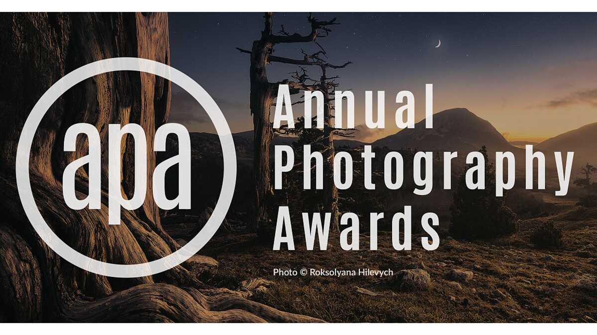 Annual Photography Awards 2021 1