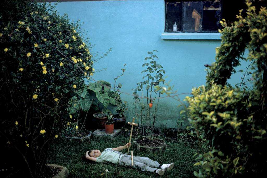 Joel Meyerowitz "Kır Çiçekleri"ni Yeniden Ziyaret Ediyor 4 Joel Meyerowitz 003