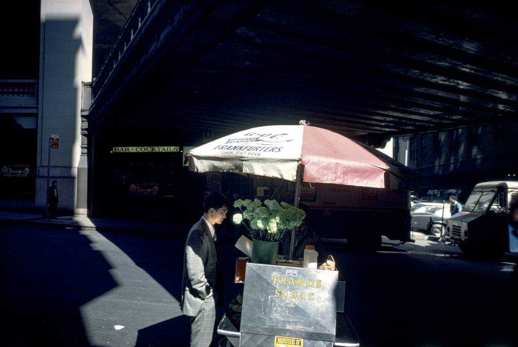 Joel Meyerowitz "Kır Çiçekleri"ni Yeniden Ziyaret Ediyor 6 Joel Meyerowitz 005