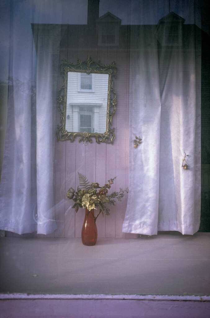 Joel Meyerowitz "Kır Çiçekleri"ni Yeniden Ziyaret Ediyor 8 Joel Meyerowitz 007