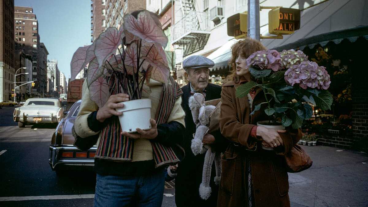 Joel Meyerowitz "Kır Çiçekleri"ni Yeniden Ziyaret Ediyor 1 Joel Meyerowitz header