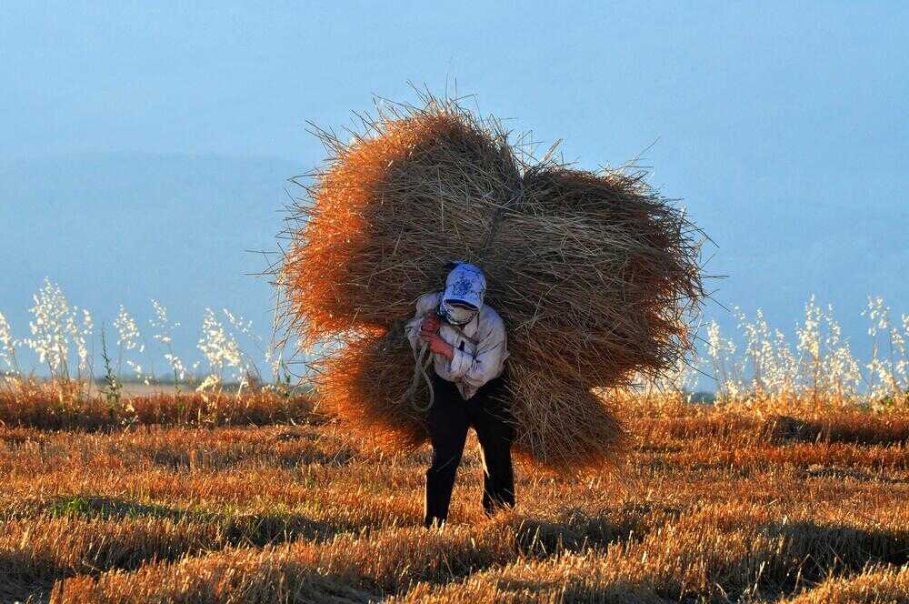 Kadinin NEfesi Fotograf Yarismasi 0005