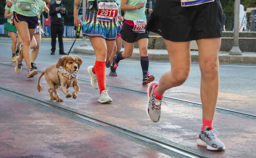 Maraton Izmir 2. Fotograf Yarismasi 0037