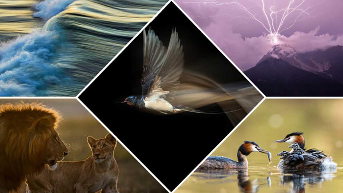 The Winners of the GDT Nature Photographer of the Year 2021 header