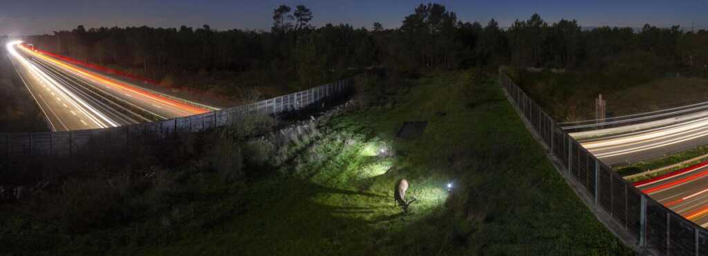 PA2F Çevre Fotoğrafçılığı Ödülleri 2021 Kazananları 5 The Winners of the PA2F Environmental Photography Awards 2021 004