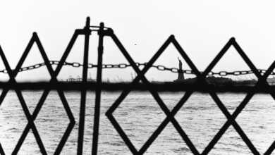 Minimalizm dilini film fotoğrafçılığında kullanmak 12 simon king header